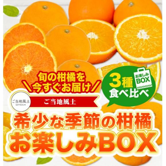 速攻出荷 3種たっぷり7kg 希少な季節の柑橘 お楽しみBOX 3種 柑橘 送料無料 みかん 清見 甘夏 ネーブル 訳あり 柑橘 果物 フルーツ 10kg 以下 福袋 1‐5営業日以内に発送予定（土日02