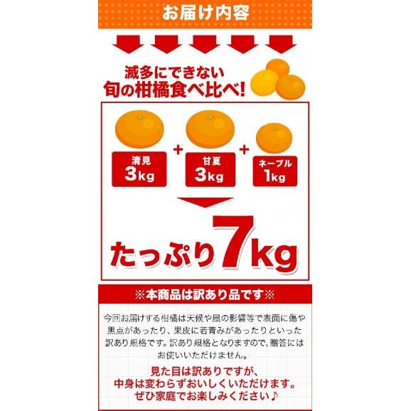 速攻出荷 3種たっぷり7kg 希少な季節の柑橘 お楽しみBOX 3種 柑橘 送料無料 みかん 清見 甘夏 ネーブル 訳あり 柑橘 果物 フルーツ 10kg 以下 福袋 1‐5営業日以内に発送予定（土日04
