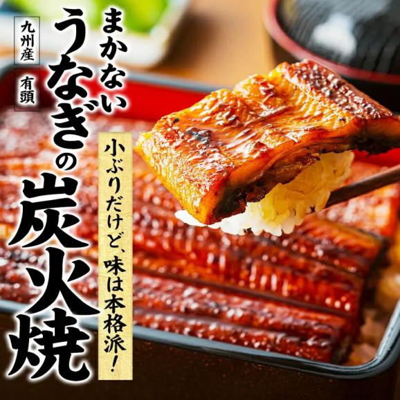 【おまとめ買いクーポン付き！】刻みうなぎおまけ 国産 うなぎ 蒲焼き 130g以上 刻みうなぎ 九州産  蒲焼 鰻 1尾  土用の丑の日《7-14営業日以内に発送予定(土日祝日除く)》01