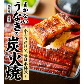 【おまとめ買いクーポン付き！】刻みうなぎおまけ 国産 うなぎ 蒲焼き 130g以上 刻みうなぎ 九州産  蒲焼 鰻 1尾  土用の丑の日《1-5営業日以内に発送予定(土日祝日除く)》