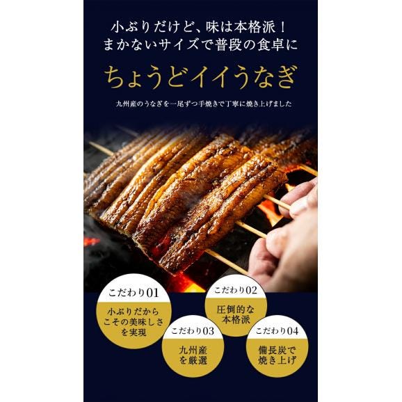 【おまとめ買いクーポン付き！】刻みうなぎおまけ 国産 うなぎ 蒲焼き 130g以上 刻みうなぎ 九州産  蒲焼 鰻 1尾  土用の丑の日《1-5営業日以内に発送予定(土日祝日除く)》04