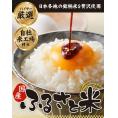 国産 ふるさと米 白米 5kg【送料無料】  白米 精米済み 非常食 保存食 お徳用 コメ お米 備蓄米 《1-3営業日以内に発送予定(土日祝除く)》