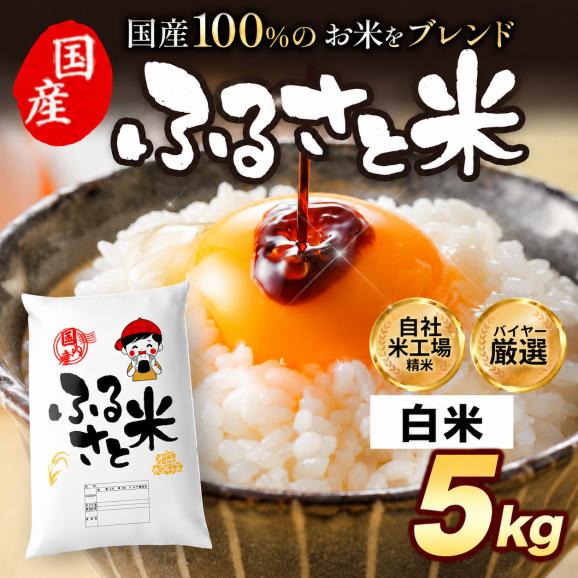 国産 ふるさと米 白米 5kg【送料無料】  白米 精米済み 非常食 保存食 お徳用 コメ お米 《14営業日以内に発送予定(土日祝除く)》01