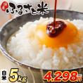 国産 ふるさと米 白米 5kg【送料無料】 白米 精米済み 非常食 保存食 お徳用 コメ お米 備蓄米 《1-3営業日以内に発送予定(土日祝除く)》