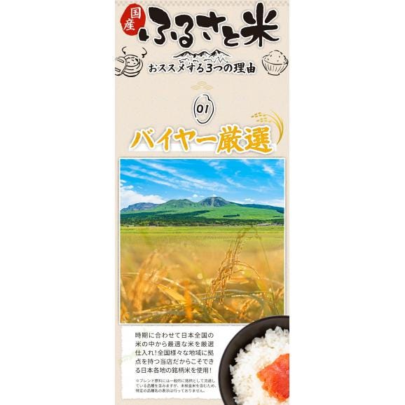 国産 ふるさと米 白米 5kg【送料無料】  白米 精米済み 非常食 保存食 お徳用 コメ お米 備蓄米 《1-3営業日以内に発送予定(土日祝除く)》03