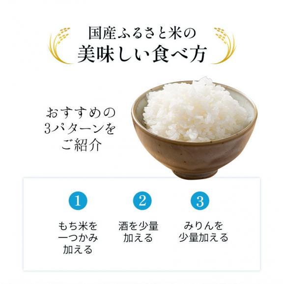 国産 ふるさと米 白米 5kg【送料無料】  白米 精米済み 非常食 保存食 お徳用 コメ お米 《14営業日以内に発送予定(土日祝除く)》06