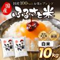 国産 ふるさと米 白米 10kg（5kg&times;2）【送料無料】 米 白米 精米済み 非常食 保存食 お徳用 コメ お米 《14営業日以内に発送予定》