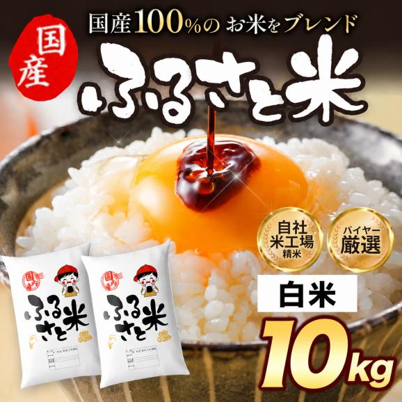 国産 ふるさと米 白米 10kg（5kg&times;2）【送料無料】 米 白米 精米済み 非常食 保存食 お徳用 コメ お米 《14営業日以内に発送予定》01