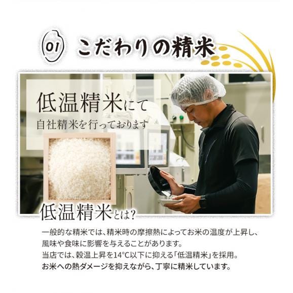 国産 ふるさと米 白米 10kg（5kg&times;2）【送料無料】 米 白米 精米済み 非常食 保存食 お徳用 コメ お米 《14営業日以内に発送予定》03