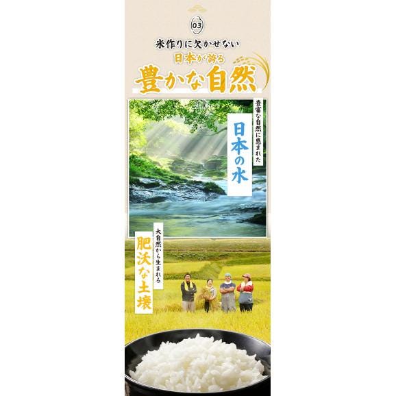 国産 ふるさと米 白米 10kg（5kg&times;2）【送料無料】  白米 精米済み 非常食 保存食 お徳用 コメ お米 《1-3営業日以内に発送予定(土日祝除く)》04