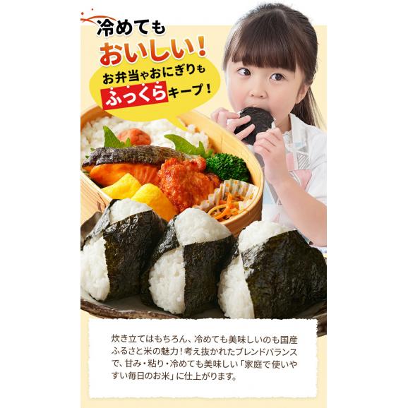 国産 ふるさと米 白米 10kg（5kg&times;2）【送料無料】  白米 精米済み 非常食 保存食 お徳用 コメ お米 《1-3営業日以内に発送予定(土日祝除く)》05