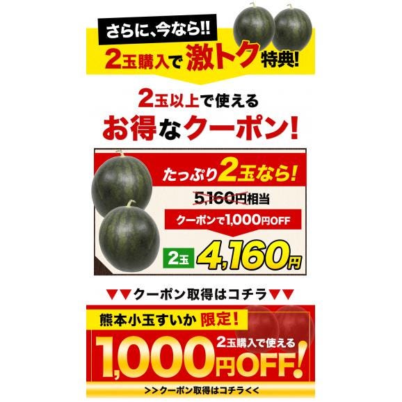 【2セット購入で1,000円OFF!】小玉スイカ 熊本 1玉 2Lサイズ 1.4kg以上 送料無料 訳あり 小玉 スイカ 熊本県産 果物 フルーツ 旬 《1-5営業日以内に出荷予定》02
