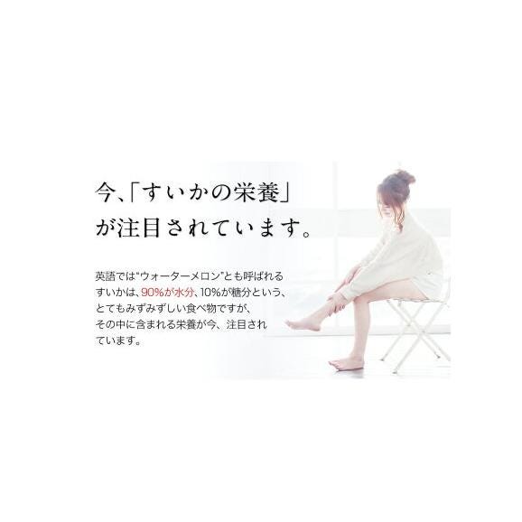 【2セット購入で1,000円OFF!】小玉スイカ 熊本 1玉 2Lサイズ 1.4kg以上 送料無料 訳あり 小玉 スイカ 熊本県産 果物 フルーツ 旬 《1-5営業日以内に出荷予定》03