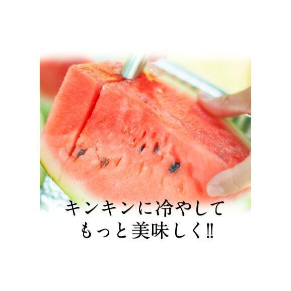 【2セット購入で1,000円OFF!】小玉スイカ 熊本 1玉 2Lサイズ 1.4kg以上 送料無料 訳あり 小玉 スイカ 熊本県産 果物 フルーツ 旬 《1-5営業日以内に出荷予定》04