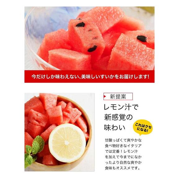 【2セット購入で1,000円OFF!】小玉スイカ 熊本 1玉 2Lサイズ 1.4kg以上 送料無料 訳あり 小玉 スイカ 熊本県産 果物 フルーツ 旬 《1-5営業日以内に出荷予定》05