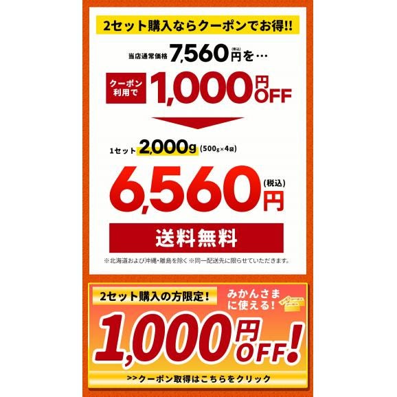 【2セットで1,000円OFF★】冷凍 デコみかん 1kg 1袋 500g 皮むき 一粒 送料無料 「みかんさま」 デコポン 不知火 フルーツ国産《1-5営業日以内に発送予定》02