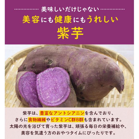 賞味期限2026年7月31日 【1000円ポッキリ】 紫芋チップス 計220g(110g×2袋) 小分け 個包装 芋 さつまいも お菓子 国産 おやつ 《1-5営業日以内に発送予定(土日祝除く)》05