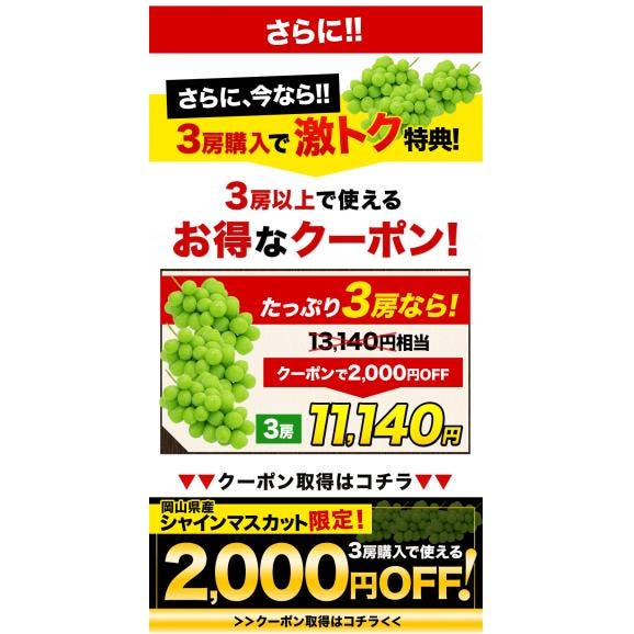【セット購入で最大2000円OFFクーポン発布中！】 シャインマスカット 岡山県産 1房 約650g 送料無料 フルーツ 贈答用 ギフト 《9月上旬～9月下旬出荷予定》03