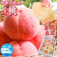 和歌山県産 もったいない 訳あり 桃 約2.4㎏前後 (6玉～8玉＋補償分1玉) 訳アリ 家庭用 紀の川 モモ momo 送料無料《7月下旬～8月上旬に出荷予定》【北海道・沖縄・離島配送不可】