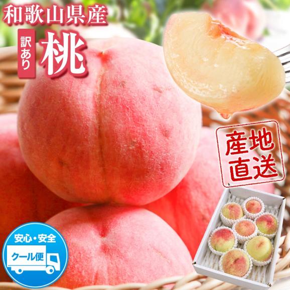 和歌山県産 もったいない 訳あり 桃 約2.4㎏前後 (6玉～8玉＋補償分1玉) 訳アリ 家庭用 紀の川 モモ momo 送料無料《7月下旬～8月上旬に出荷予定》【北海道・沖縄・離島配送不可】01