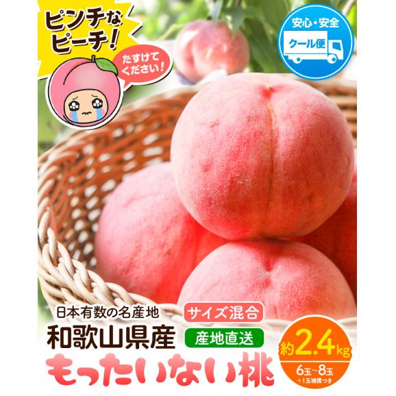 和歌山県産 もったいない 訳あり 桃 約2.4㎏前後 (6玉～8玉＋補償分1玉) 訳アリ 家庭用 紀の川 モモ momo 送料無料《7月下旬～8月上旬に出荷予定》【北海道・沖縄・離島配送不可】02