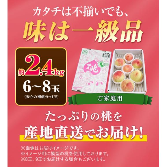 和歌山県産 もったいない 訳あり 桃 約2.4㎏前後 (6玉～8玉＋補償分1玉) 訳アリ 家庭用 紀の川 モモ momo 送料無料《7月下旬～8月上旬に出荷予定》【北海道・沖縄・離島配送不可】03