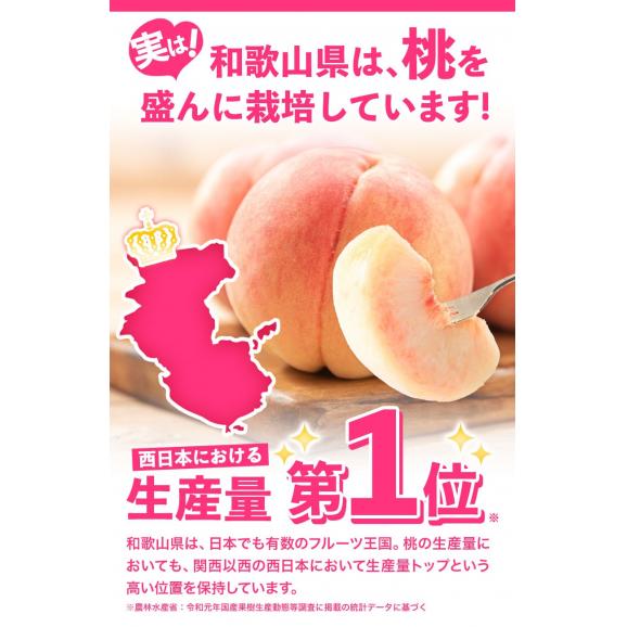 和歌山県産 もったいない 訳あり 桃 約2.4㎏前後 (6玉～8玉＋補償分1玉) 訳アリ 家庭用 紀の川 モモ momo 送料無料《7月下旬～8月上旬に出荷予定》【北海道・沖縄・離島配送不可】04