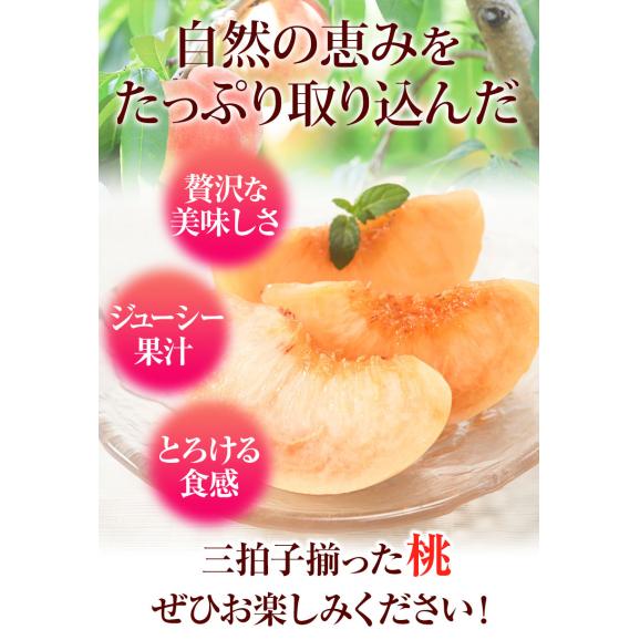 和歌山県産 もったいない 訳あり 桃 約2.4㎏前後 (6玉～8玉＋補償分1玉) 訳アリ 家庭用 紀の川 モモ momo 送料無料《7月下旬～8月上旬に出荷予定》【北海道・沖縄・離島配送不可】05