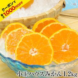 【販売解禁】★最大1000円OFFクーポン★ 熊本県産 ハウスみかん 1.2kg 熊本 送料無料 2Sサイズ 小玉 みかん 温州 柑橘 九州 産地直送 取り寄せ 《3-7営業日以内に出荷予定》