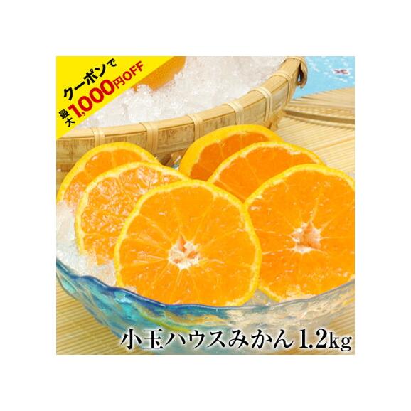 【販売解禁】★最大1000円OFFクーポン★ 熊本県産 ハウスみかん 1.2kg 熊本 送料無料 2Sサイズ 小玉 みかん 温州 柑橘 九州 産地直送 取り寄せ 《3-7営業日以内に出荷予定》01