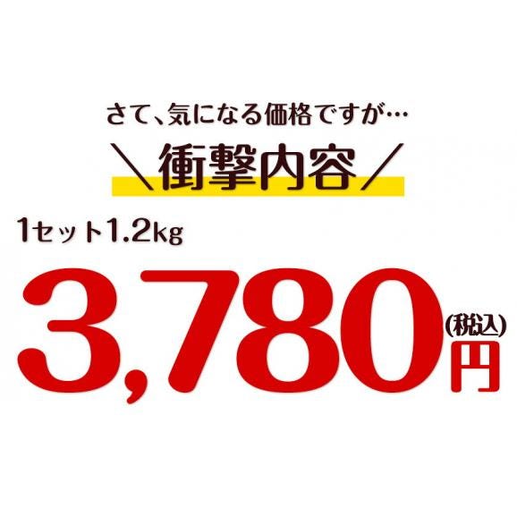 【販売解禁】★最大1000円OFFクーポン★ 熊本県産 ハウスみかん 1.2kg 熊本 送料無料 2Sサイズ 小玉 みかん 温州 柑橘 九州 産地直送 取り寄せ 《3-7営業日以内に出荷予定》02