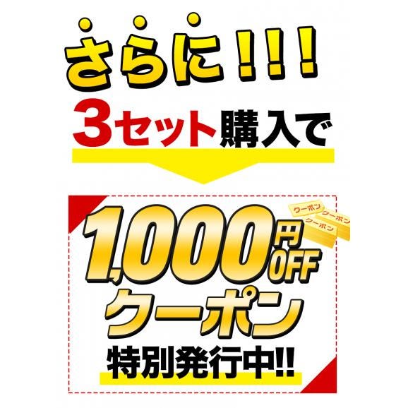 【販売解禁】★最大1000円OFFクーポン★ 熊本県産 ハウスみかん 1.2kg 熊本 送料無料 2Sサイズ 小玉 みかん 温州 柑橘 九州 産地直送 取り寄せ 《3-7営業日以内に出荷予定》03