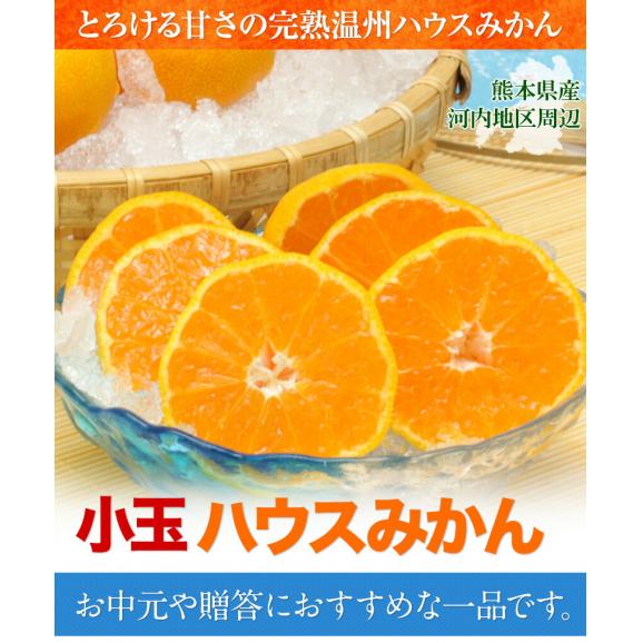 【販売解禁】★最大1000円OFFクーポン★ 熊本県産 ハウスみかん 1.2kg 熊本 送料無料 2Sサイズ 小玉 みかん 温州 柑橘 九州 産地直送 取り寄せ 《3-7営業日以内に出荷予定》04