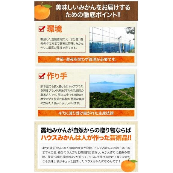 【販売解禁】★最大1000円OFFクーポン★ 熊本県産 ハウスみかん 1.2kg 熊本 送料無料 2Sサイズ 小玉 みかん 温州 柑橘 九州 産地直送 取り寄せ 《3-7営業日以内に出荷予定》05