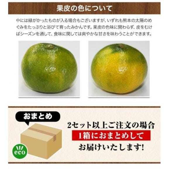 【販売解禁】★最大1000円OFFクーポン★ 熊本県産 ハウスみかん 1.2kg 熊本 送料無料 2Sサイズ 小玉 みかん 温州 柑橘 九州 産地直送 取り寄せ 《3-7営業日以内に出荷予定》06