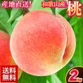 【名産地から直送】和歌山県産 桃 2kg 送料無料 和歌山 桃 もも 果物 白桃 白鳳 日川白鳳 清水白桃 川中島白桃 送料無料 夏 momo《7月中旬から8月中旬頃に発送予定》