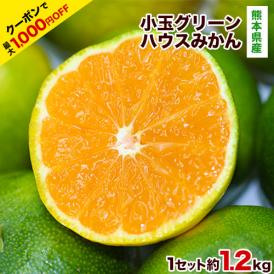 【販売解禁】★最大1000円OFFクーポン★グリーンハウスみかん 1.2kg 熊本県産 甘熟 熊本 送料無料 3Sサイズ フルーツ 小玉 みかん 温州 果物 柑橘 《3-7営業日以内に出荷予定》