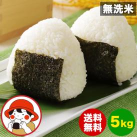 ふるさと無洗米 国内米 無洗米 精米済み 5kg（5kg&times;1袋） コメ こめ kome 米 非常食・保存食にも◎ 生活応援 《1-3営業日以内に配送予定(土日祝除く