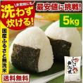 ふるさと無洗米 国内米 無洗米 精米済み 白米 5kg（5kg×1袋） コメ こめ kome 米 非常食・保存食にも◎ 備蓄米 ではありません 生活応援 《1-5営業日以内に配送予定(土日祝除く