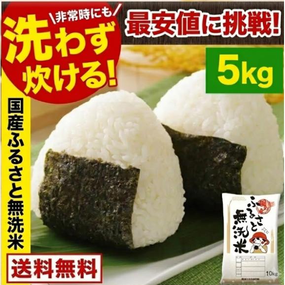 ふるさと無洗米 国内米 無洗米 精米済み 白米 5kg（5kg&times;1袋） コメ こめ kome 米 非常食・保存食にも◎ 備蓄米 ではありません 生活応援 《1-5営業日以内に配送予定(土日祝除く01