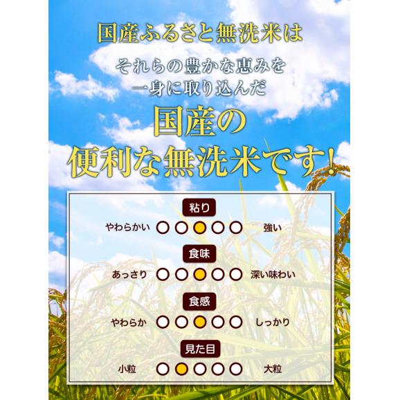 ふるさと無洗米 国内米 無洗米 精米済み 白米 5kg（5kg&times;1袋） コメ こめ kome 米 非常食・保存食にも◎ 備蓄米 ではありません 生活応援 《1-5営業日以内に配送予定(土日祝除く04