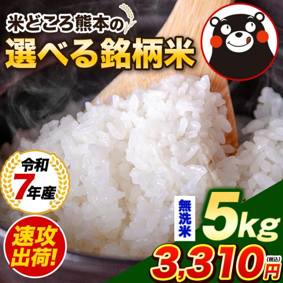 令和7年 選べる 無洗米 熊本県産 銘柄 米 5kg ヒノヒカリ くまさんの輝き 国産 無洗米 5kg×1 家庭用 甘い ふっくら 送料無料 《1-5営業日以内に発送予定》01