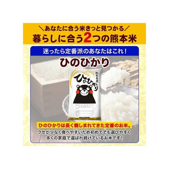 令和7年 選べる 無洗米 熊本県産 銘柄 米 5kg ヒノヒカリ くまさんの輝き 国産 無洗米 5kg×1 家庭用 甘い ふっくら 送料無料 《1-5営業日以内に発送予定》05