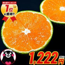 訳あり みかん 小玉みかん 1.5kg 甘い ミカン 熊本産 温州みかん おまけ 送料無料