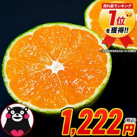 訳あり みかん 小玉みかん 1.5kg 甘い ミカン 熊本県産 温州みかん おまけ 送料無料