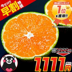 訳あり みかん 小玉みかん 1.5kg 甘い ミカン 熊本産 温州みかん おまけ 送料無料