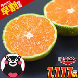 訳あり みかん 小玉みかん 1.5kg 甘い ミカン 熊本産 温州みかん おまけ 送料無料