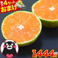 【おまけ増量！】 熊本県産 訳あり 小玉 みかん 1.5kg 送料無料 ミカン 小粒  家庭用 サイズ 箱買い  果物 極早生 柑橘 訳アリ 蜜柑 《10月中旬-11月下旬に発送予定(土日祝除く)》