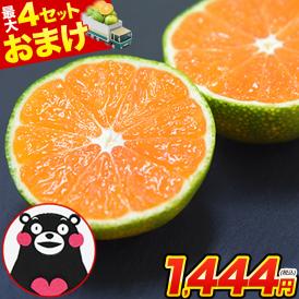 訳あり みかん 小玉みかん 1.5kg 甘い ミカン 熊本県産 温州みかん おまけ 送料無料