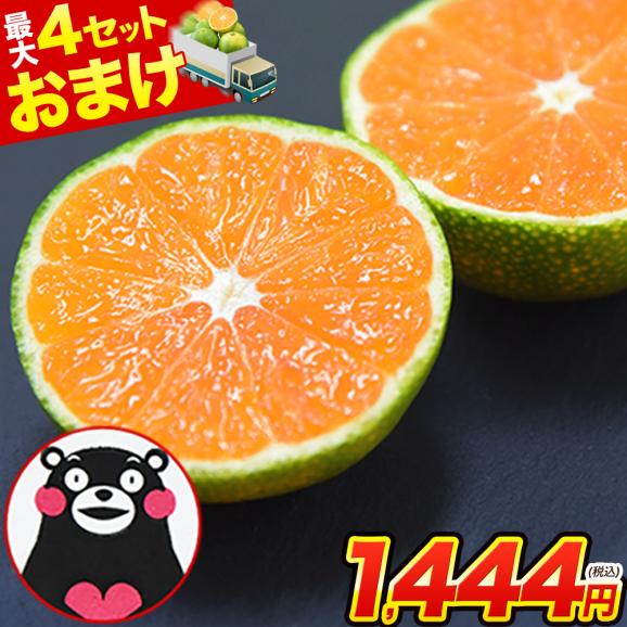 【おまけ増量!】 熊本県産 訳あり 小玉 みかん 1.5kg 送料無料 ミカン 小粒 家庭用 サイズ 箱買い 果物 極早生 柑橘 訳アリ 蜜柑 《10月中旬-11月下旬に発送予定(土日祝除く)》01